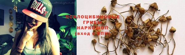 кокаин колумбия Алексин