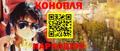 гидра Краснодар
