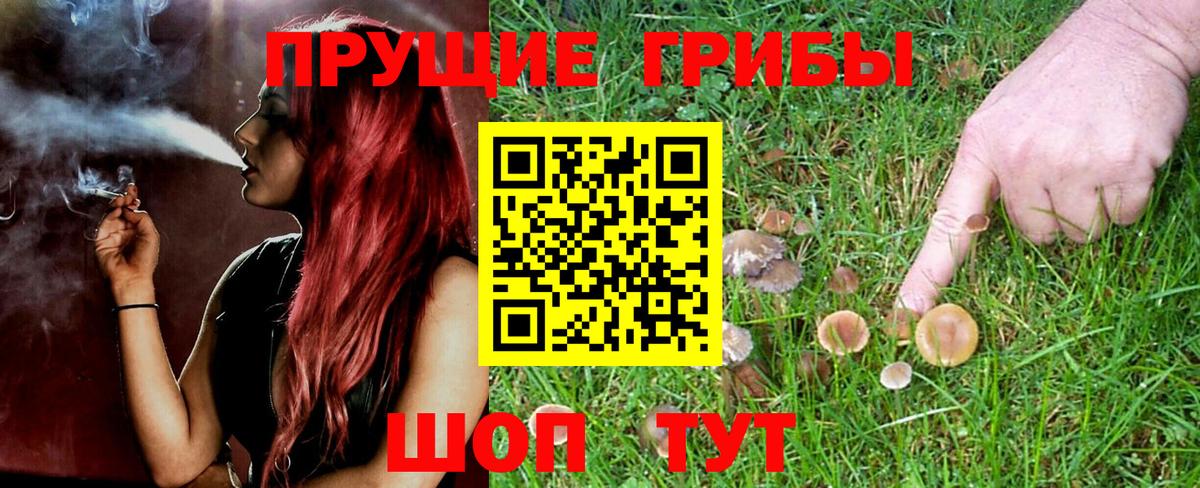 Йошкар-Ола  Псилоцибиновые грибы мицелий  Вход с VPN 