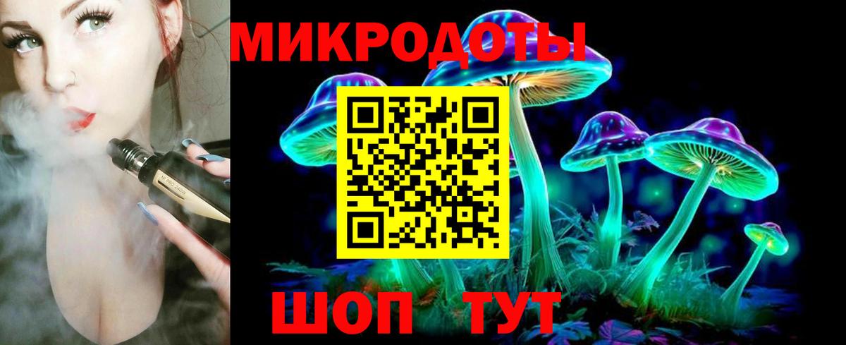 Псилоцибиновые грибы мицелий Йошкар-Ола
